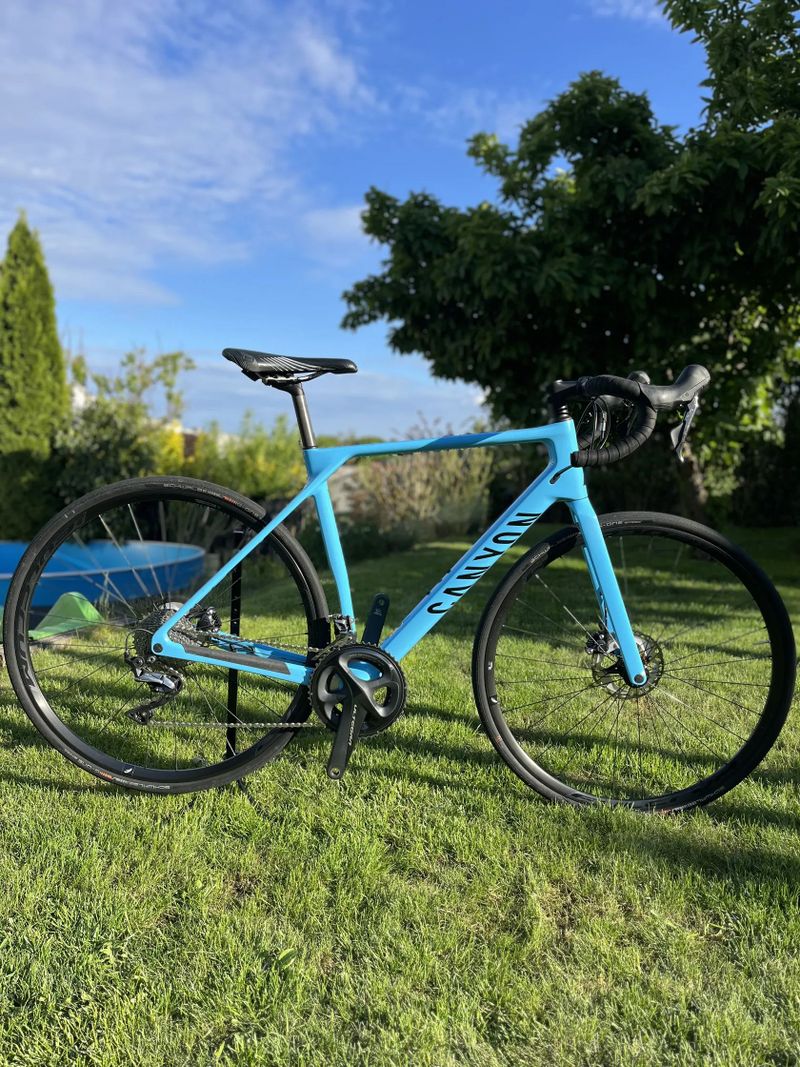 Canyon Endurance CF 7