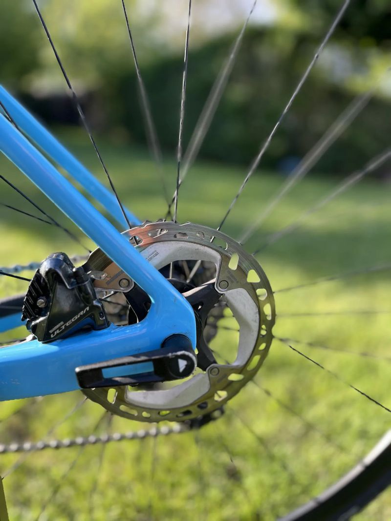 Canyon Endurance CF 7