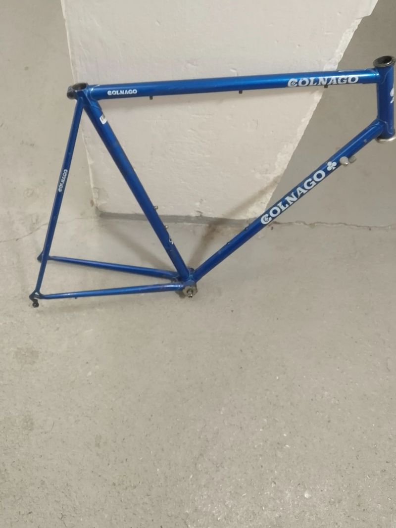 Favorit SS Babický (Pro znalce)