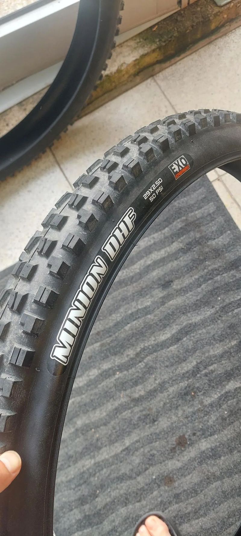 Minion DHF Exo 29x2,5
