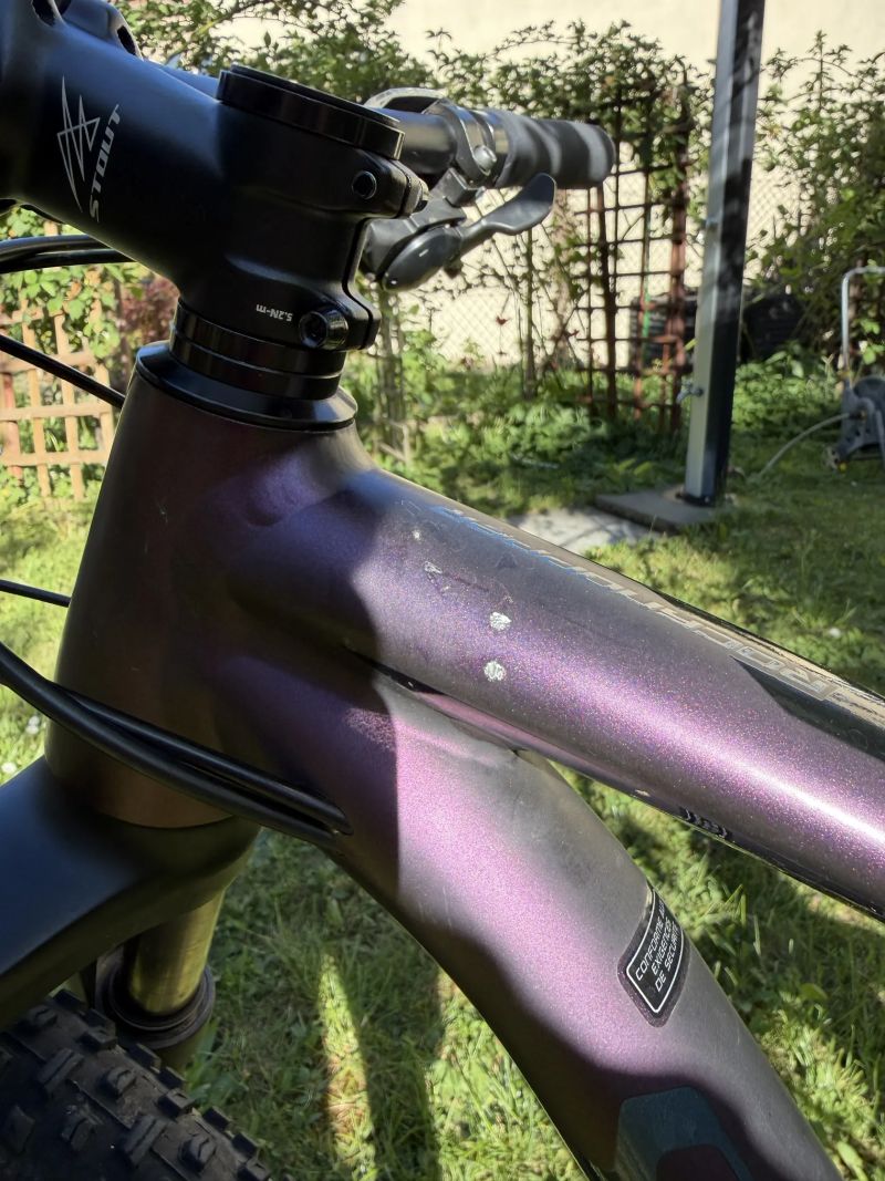 Specialized Rockhopper Expert 2019 Women's 29" Batlleship
