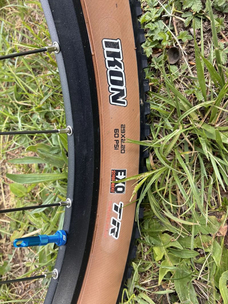 Pells Razzer EVO XT