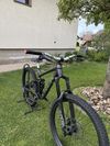 Trek Remedy 8