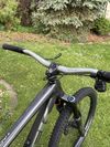 Trek Remedy 8