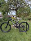 Trek Remedy 8