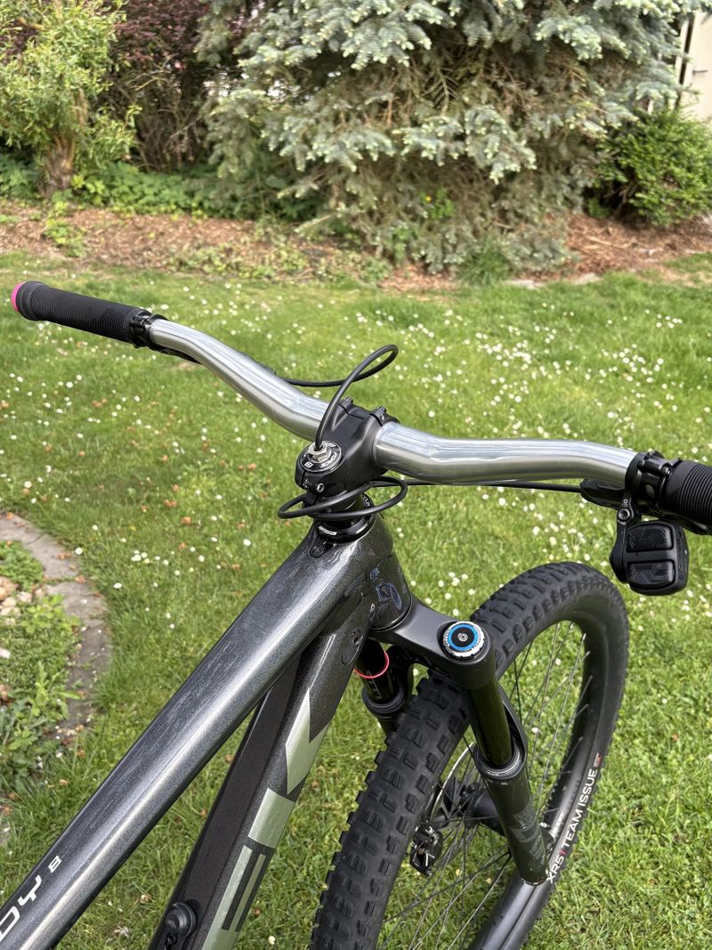 Trek Remedy 8