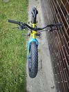 Specialized Fatboy 24