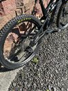 Canyon spectral cf 7