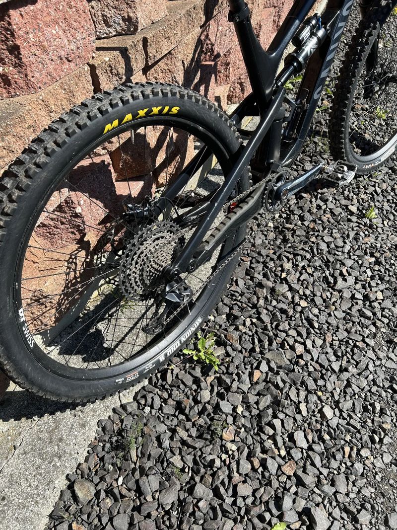 Canyon spectral cf 7