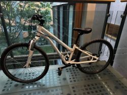 Specialized Hotrock 24