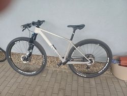 Canyon Exceed CF 7