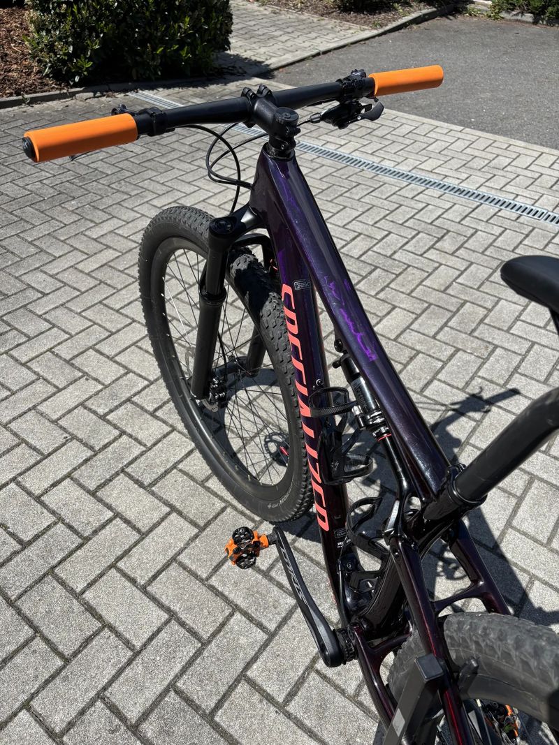 Specialized Epic