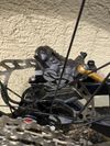 Rock Machine Whizz 2025