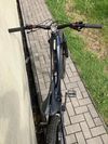 Rock Machine Whizz 2025