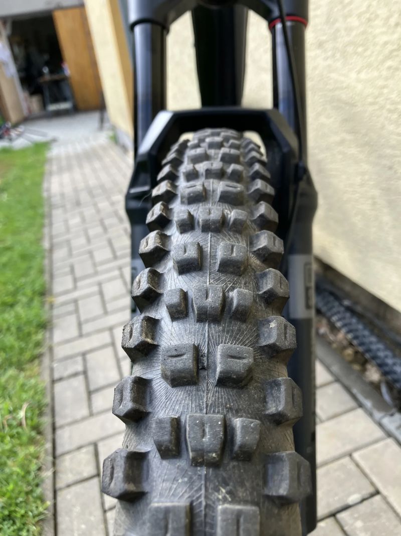 Rock Machine Whizz 2025