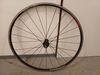 Zapletená kola Campagnolo Neutron