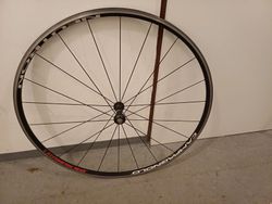 Zapletená kola Campagnolo Neutron