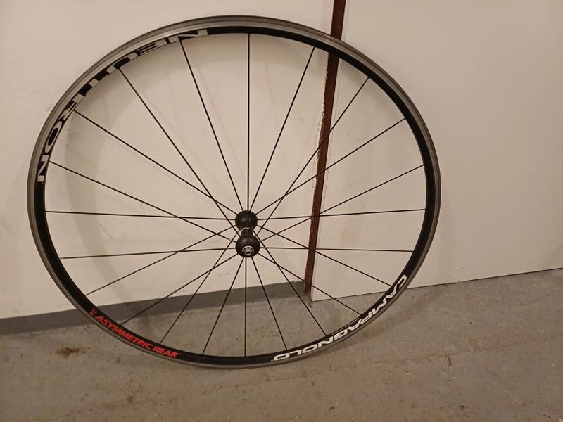 Zapletená kola Campagnolo Neutron