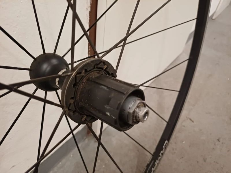 Zapletená kola Campagnolo Neutron