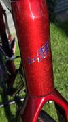 4EVER Grizzly Elite – NOVÝ RÁM (v záruce) – Full Carbon – TOP sada GRX 820