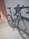 Giant