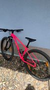 Specialized Rockhopper Comp 29