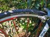 Kuota Karma Karbon + Racing Zero kola