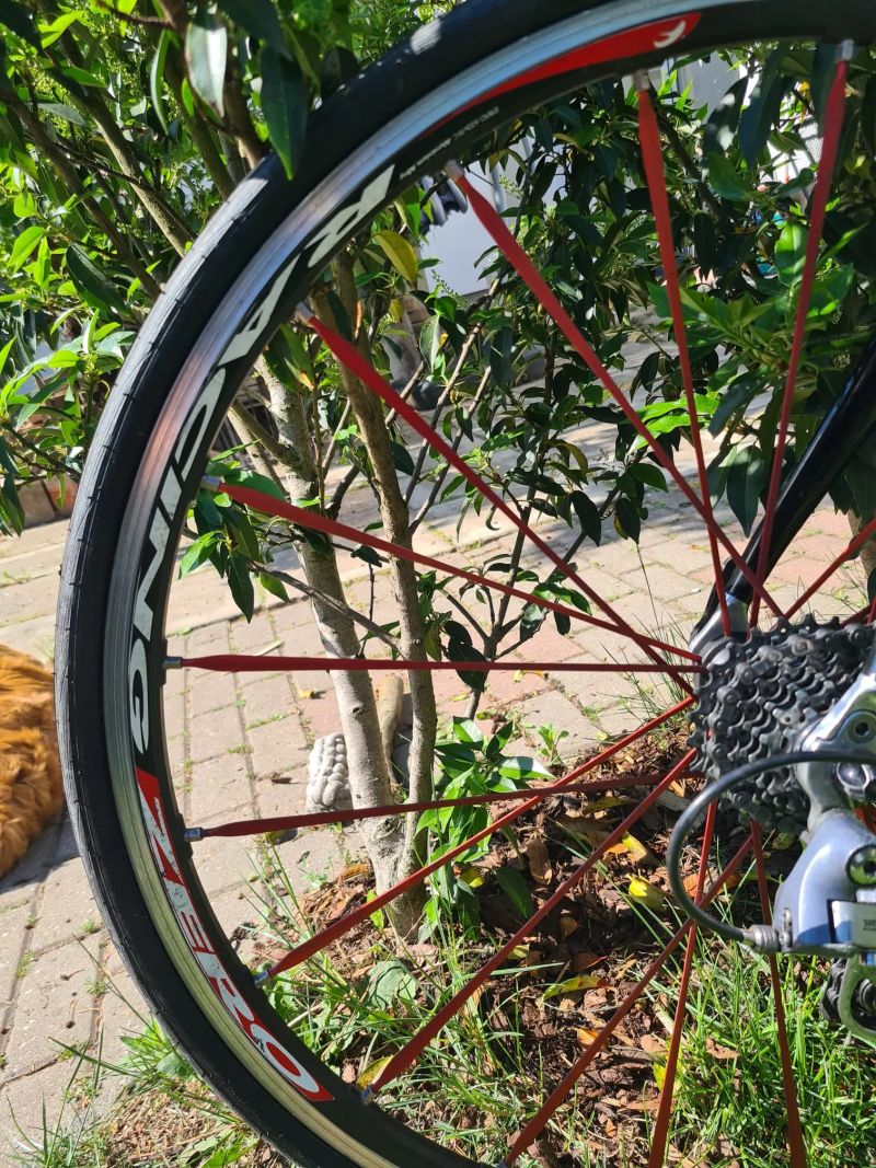 Kuota Karma Karbon + Racing Zero kola