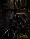 CTM Dirtking Pro