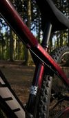 CTM Dirtking Pro