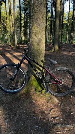 CTM Dirtking Pro