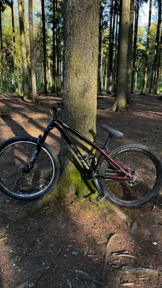 CTM Dirtking Pro