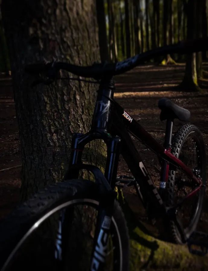 CTM Dirtking Pro