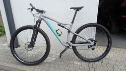 Specialized Epic 29" Wms, Brain, Roval