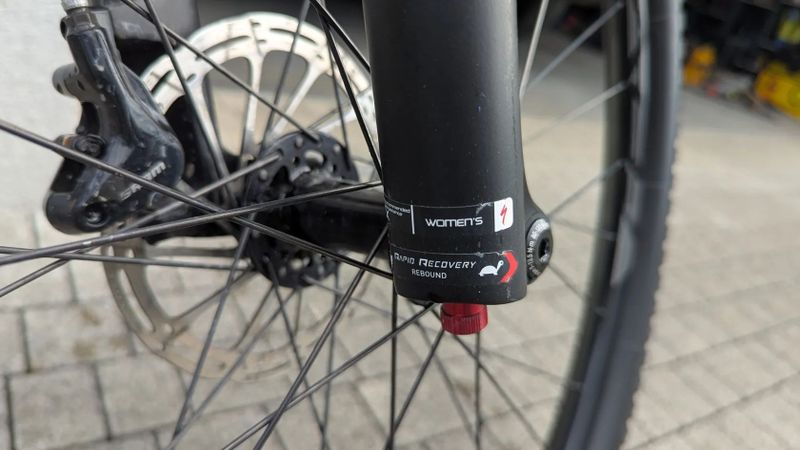 Specialized Epic 29" Wms, Brain, Roval