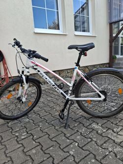 Leader Fox MXC 2022