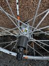 Mavic