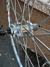 Mavic