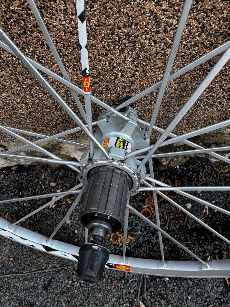 Mavic