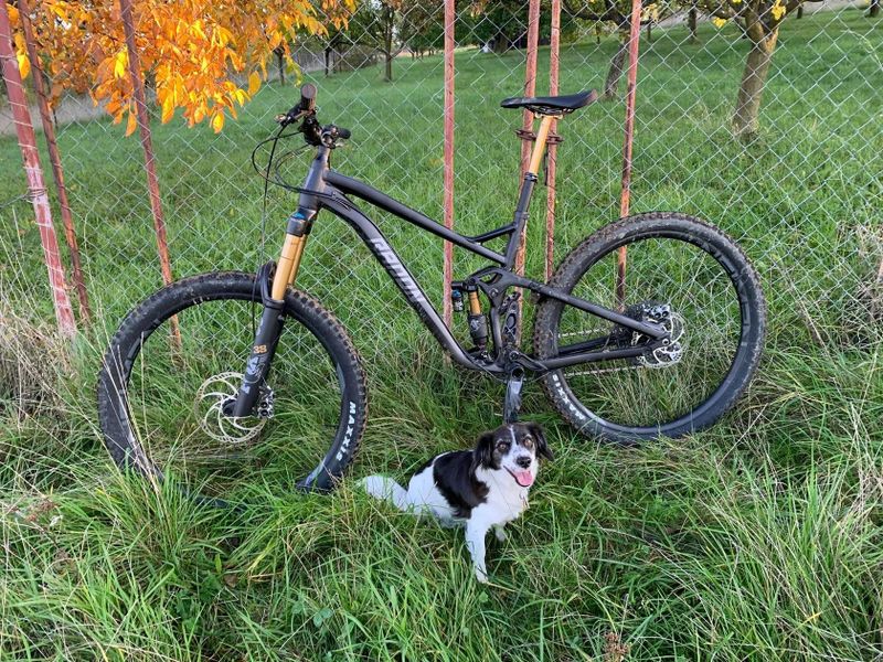 Radon swoop 10.0 AL