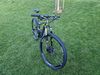 Kellys Reyon 50