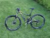 Kellys Reyon 50