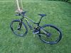 Kellys Reyon 50