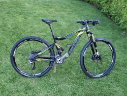 Kellys Reyon 50