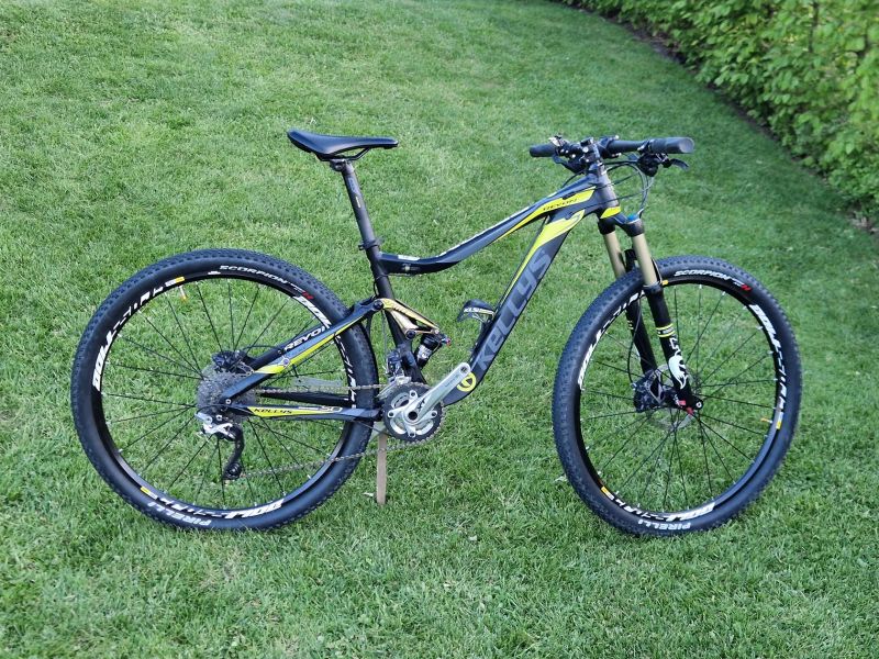 Kellys Reyon 50