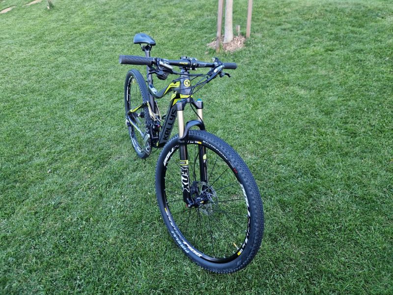 Kellys Reyon 50