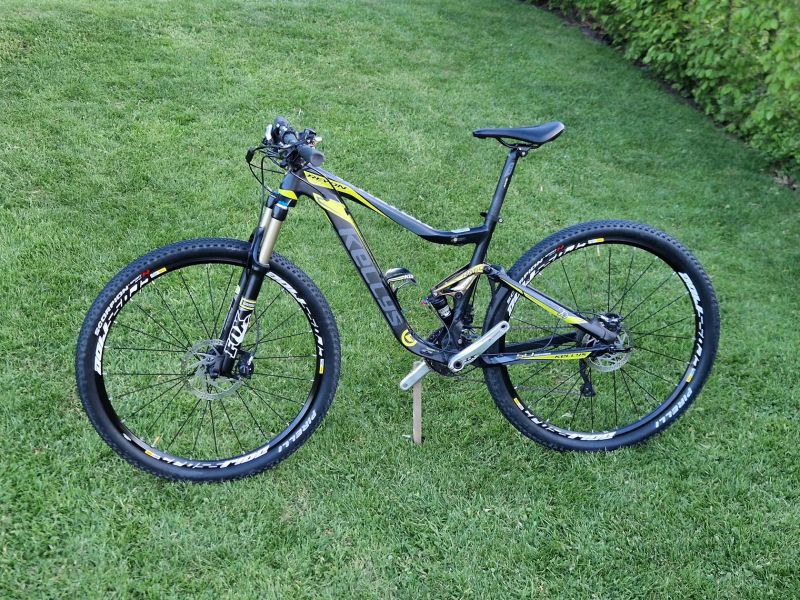 Kellys Reyon 50