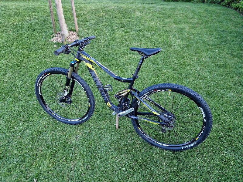 Kellys Reyon 50
