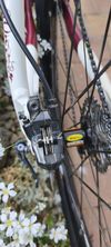 Scott Contessa 26"