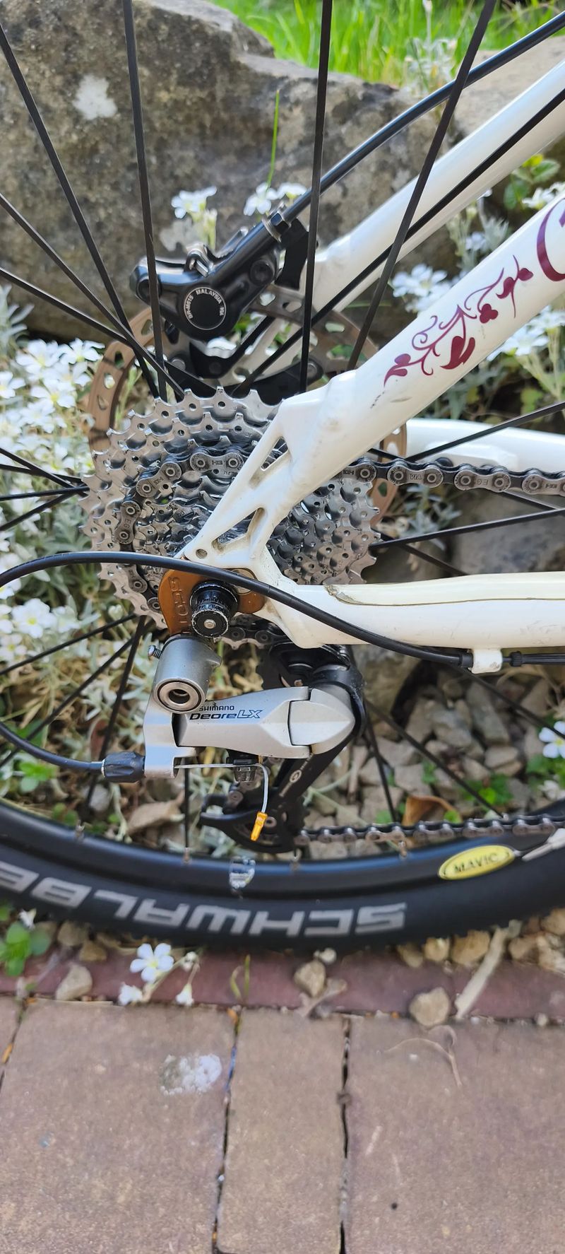 Scott Contessa 26"